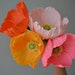 see more listings in the Paper Flowers section