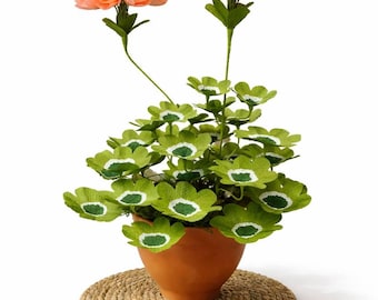 Gerânio de papel pêssego coral, escultura de planta em papel, presente para jardineiro, presente para mãe, jardim de inverno, presente de aniversário de papel