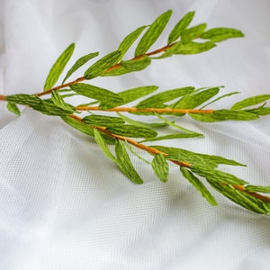 Op de afbeelding: Een takje met groene papieren bladeren en een bruine steel op een witte achtergrond.