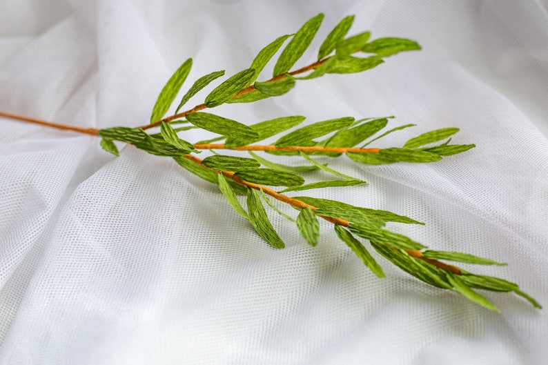 Op de afbeelding: Een takje met groene papieren bladeren en een bruine steel op een witte achtergrond.