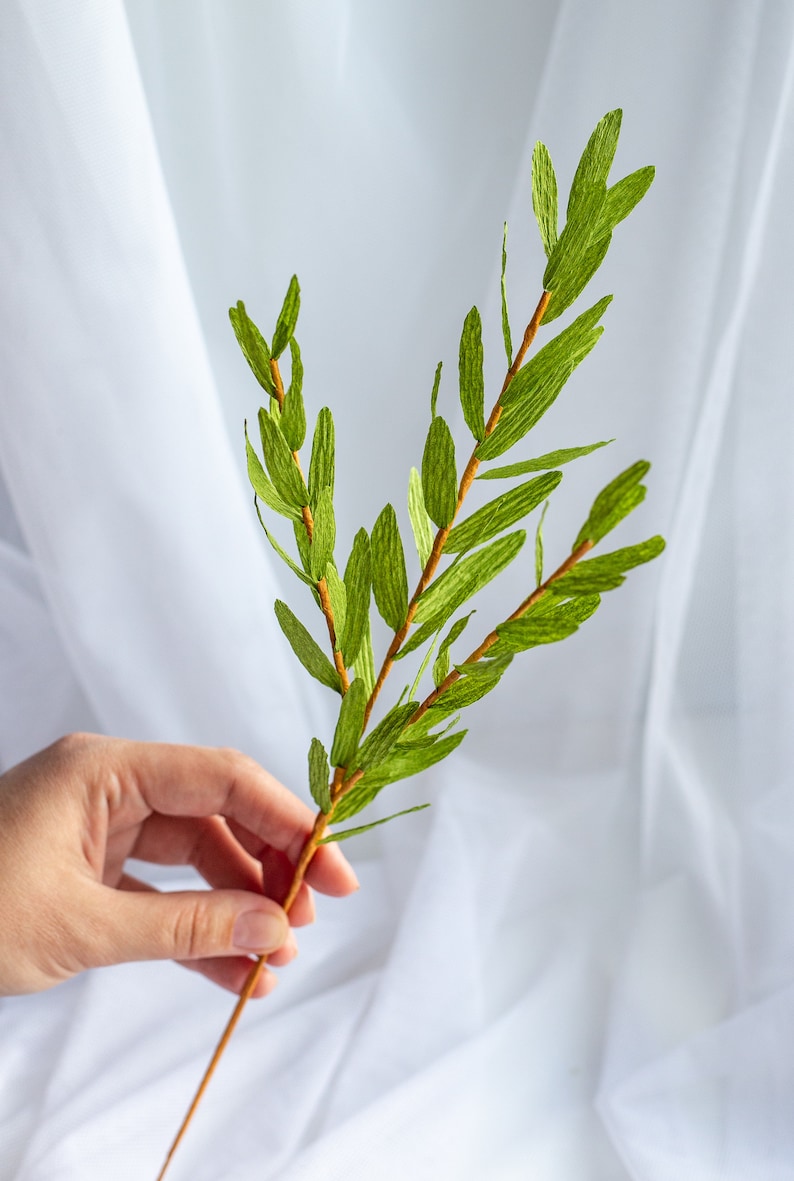 Op de afbeelding: Een enkele tak met groene papieren bladeren op een bruine stengel. De bladeren zijn lang en smal, met een licht gekreukelde textuur.