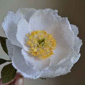 Peonia di carta bianca, peonia crespa, fiori di carta, fiori da sposa finti, peonie di carta per anniversario, fiore di carta grande, fiori finti