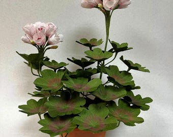 Pode incluir: Uma planta em vaso com flores cor-de-rosa e folhas verdes. A planta está num vaso de terracota.