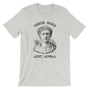 These Hoes Ain&#39;t Loyal - Greek Letters - Gaius Julius Caesar Greek Letters Short-Sleeve Unisex T-Shirt