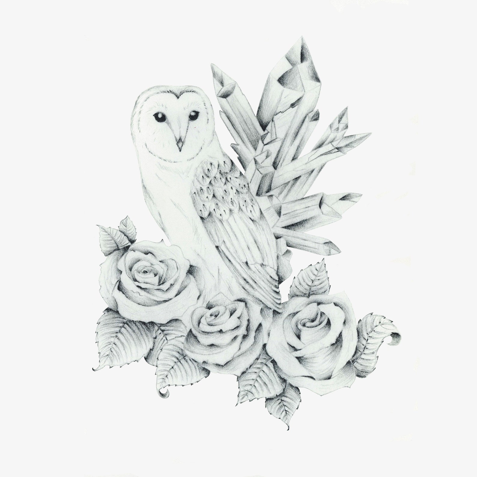 Barn Owl and Roses Art Print | Etsy