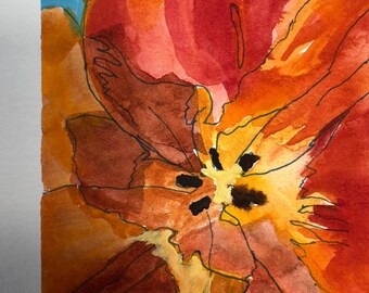 Orange tulip