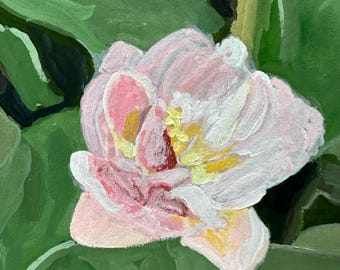 Double tulip