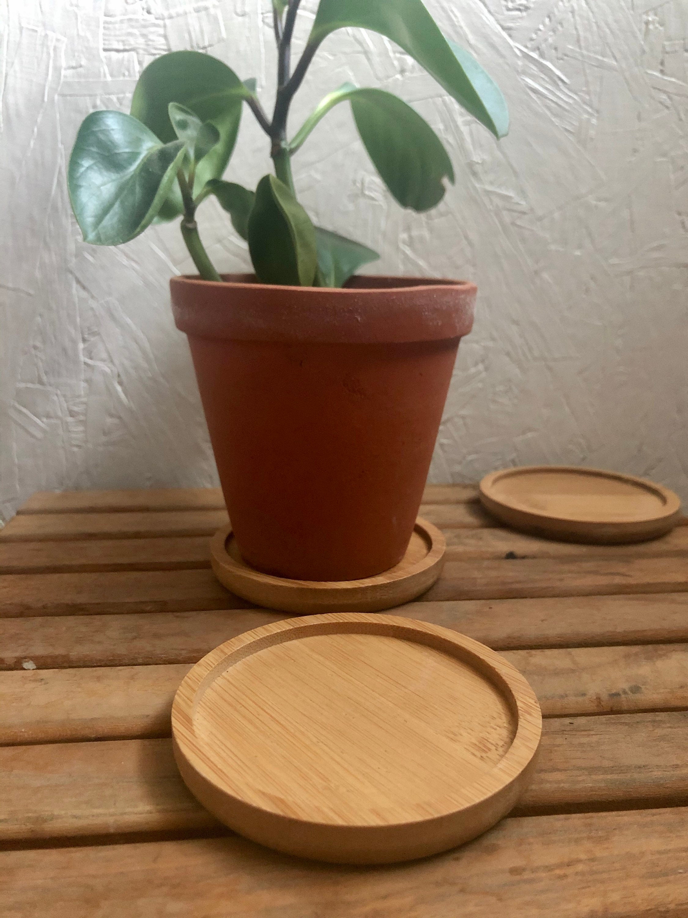 3 Circular Bamboo Wooden Pot Dishes / Saucers Etsy