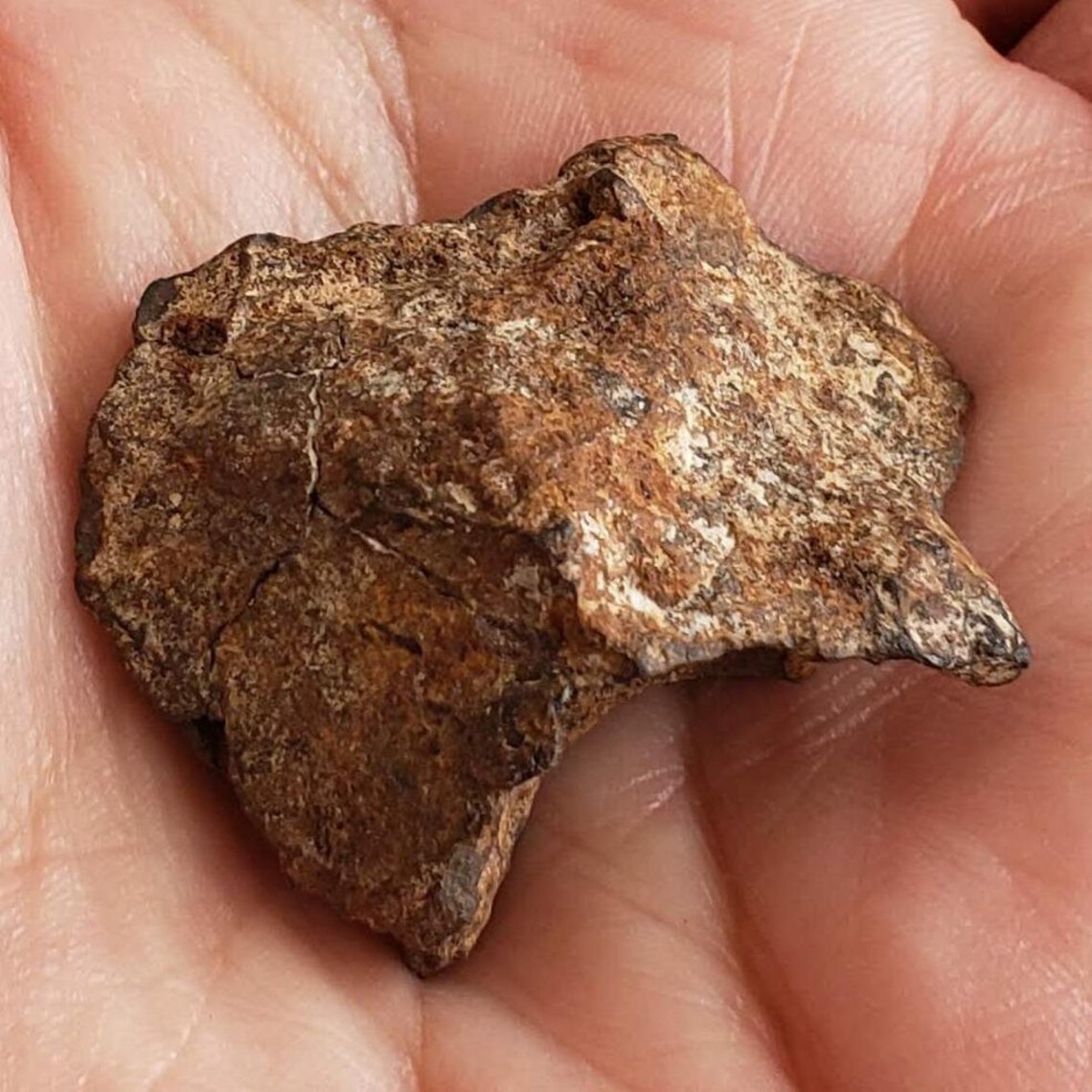 Meteorite Northwest Africa SAHARA 18.59 Grams Individual