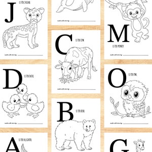 ABC Baby Shower Coloring Pages, Coloring Pages, Digital Prints, Instant Downloads, Animal Alphabet Coloring Pages, Baby Shower Game