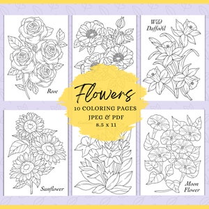 Flowers Coloring Pages: Botanical Illustrations for Adults (PDF)