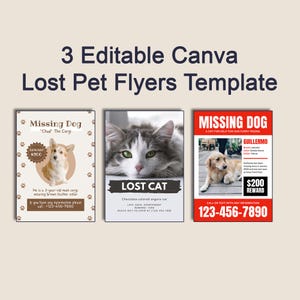 Plantilla de volante de mascota perdida / Póster de perro y gato desaparecido / Canva editable en tamaño A4 y carta EE. UU.