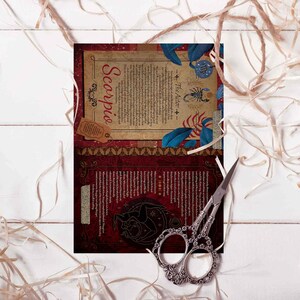 May include: An open book with a red and gold cover and a detailed illustration of a scorpion. The book is titled "Scorpio: The Archer".