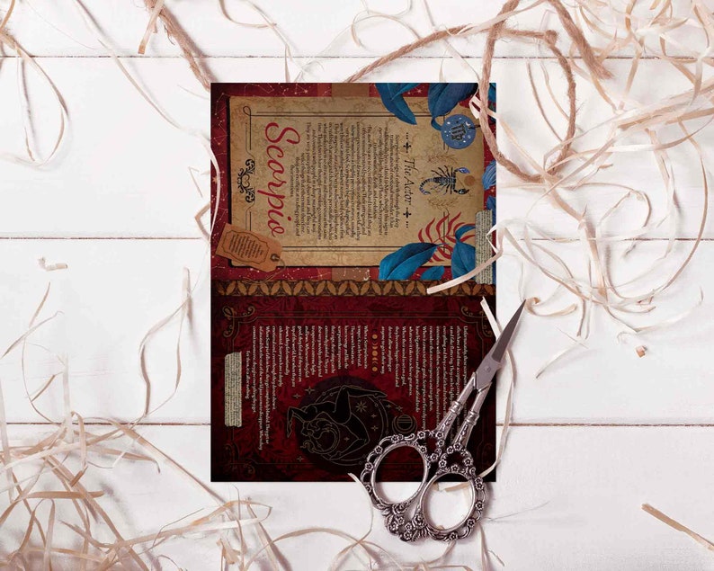 May include: An open book with a red and gold cover and a detailed illustration of a scorpion. The book is titled "Scorpio: The Archer".