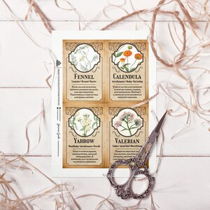 Peut inclure: Quatre cartes botaniques d'herbes avec des illustrations de fenouil, de calendula, de millefeuille et de val&eacute;riane. Chaque carte pr&eacute;sente le nom et les utilisations de l'herbe. Des ciseaux d&eacute;coratifs sont pos&eacute;s pr&egrave;s des cartes, avec de la ficelle en arri&egrave;re-plan.