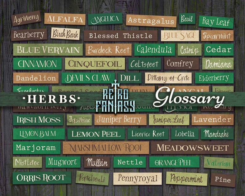 Printable Herbs Glossary Digital Botanical Words Plants Etsy