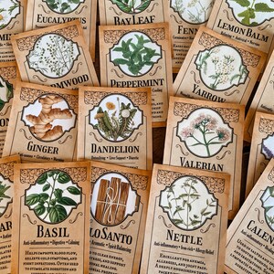 Cartes imprimables herbes • Éphémères grimoire de sorcière verte • Livre des ombres • Wicca • Téléchargement instantané image 3