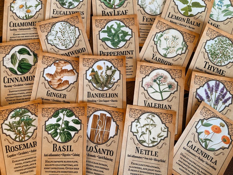 Cartes imprimables herbes • Éphémères grimoire de sorcière verte • Livre des ombres • Wicca • Téléchargement instantané image 3