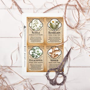 Peut inclure: Impression botanique avec quatre cartes illustrant l'ortie, le pissenlit, l'eucalyptus et le gingembre. Chaque carte pr&eacute;sente le nom de la plante et ses bienfaits. Des ciseaux d&eacute;coratifs sont pos&eacute;s pr&egrave;s des cartes.