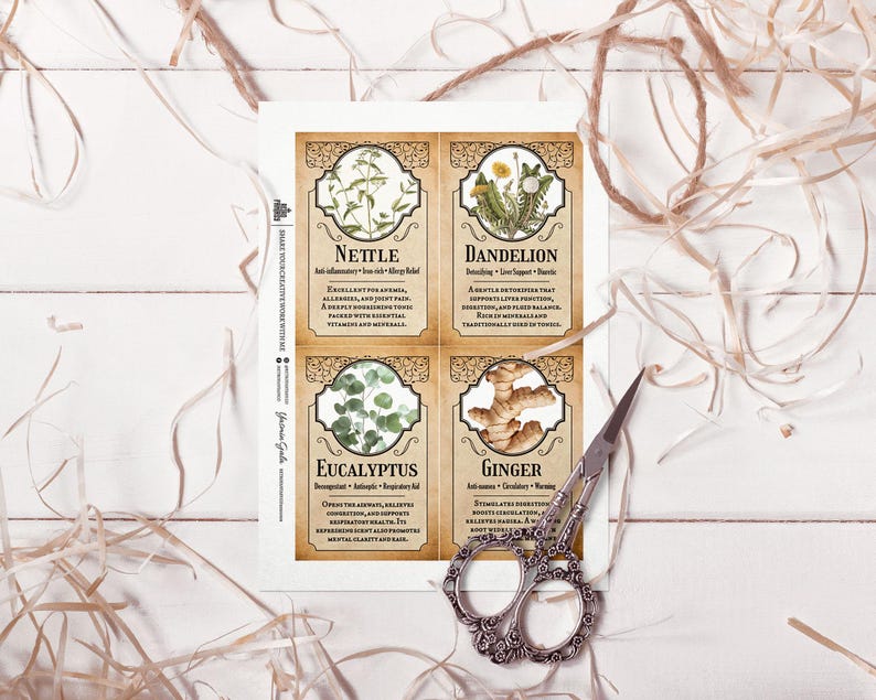 Peut inclure: Impression botanique avec quatre cartes illustrant l'ortie, le pissenlit, l'eucalyptus et le gingembre. Chaque carte pr&eacute;sente le nom de la plante et ses bienfaits. Des ciseaux d&eacute;coratifs sont pos&eacute;s pr&egrave;s des cartes.
