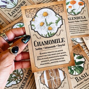 Cartes imprimables herbes • Éphémères grimoire de sorcière verte • Livre des ombres • Wicca • Téléchargement instantané image 2