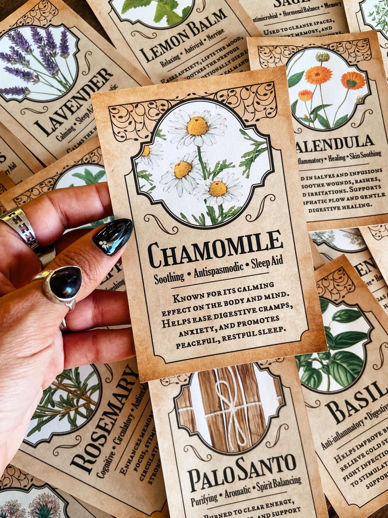 Cartes imprimables herbes • Éphémères grimoire de sorcière verte • Livre des ombres • Wicca • Téléchargement instantané image 2