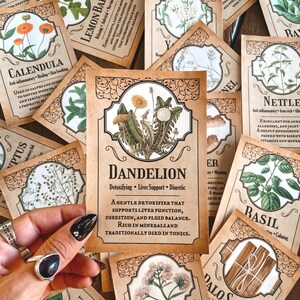 Cartes imprimables herbes • Éphémères grimoire de sorcière verte • Livre des ombres • Wicca • Téléchargement instantané image 4