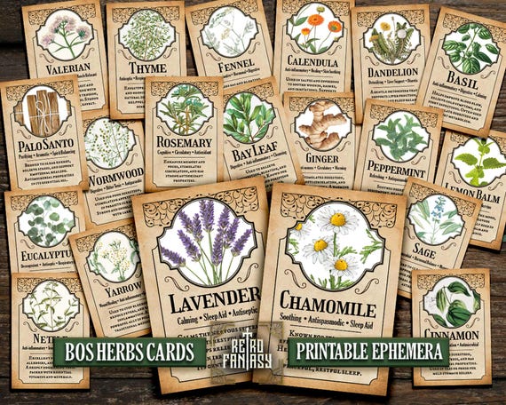Herbs Printable Cards • Green Witch Grimoire Ephemera • Book of Shadows • Wiccan • Instant Download