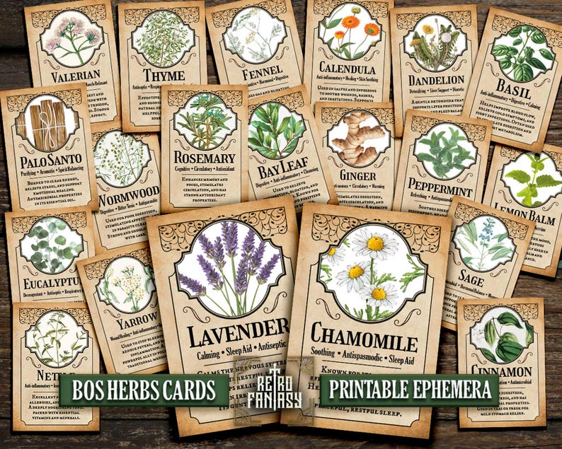 Peut inclure: Un ensemble de cartes d'herbes de style vintage avec des illustrations botaniques et du texte. Les cartes pr&eacute;sentent des herbes comme la lavande, la camomille et le basilic, avec des descriptions de leurs propri&eacute;t&eacute;s. Les mots "BOS HERBS CARDS" et "PRINTABLE EPHEMERA" sont visibles.