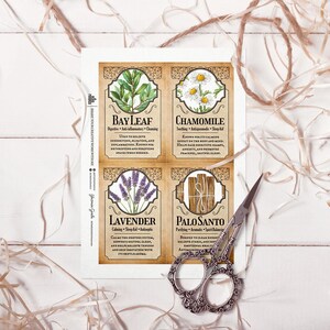 Peut inclure: Une impression botanique avec quatre cartes illustr&eacute;es : Bay Leaf, Chamomile, Lavender et Palo Santo. Chaque carte a une bordure d&eacute;corative et du texte descriptif. Une paire de ciseaux orn&eacute;s repose sur la surface blanche, avec des mati&egrave;res v&eacute;g&eacute;tales s&eacute;ch&eacute;es &eacute;parpill&eacute;es.