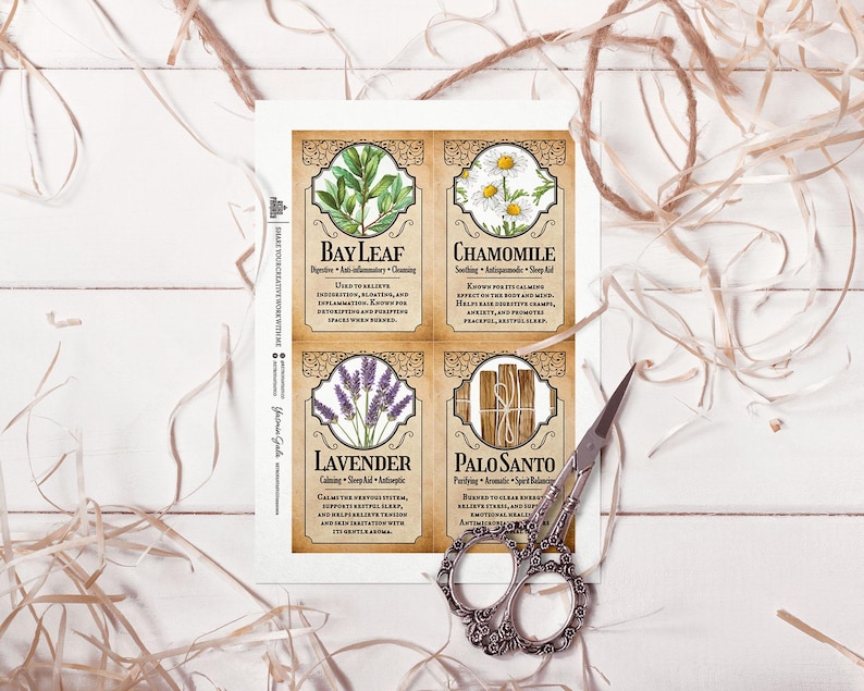 Peut inclure: Une impression botanique avec quatre cartes illustr&eacute;es : Bay Leaf, Chamomile, Lavender et Palo Santo. Chaque carte a une bordure d&eacute;corative et du texte descriptif. Une paire de ciseaux orn&eacute;s repose sur la surface blanche, avec des mati&egrave;res v&eacute;g&eacute;tales s&eacute;ch&eacute;es &eacute;parpill&eacute;es.