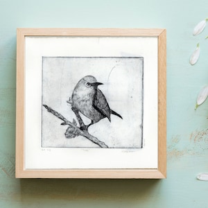 Peut inclure: Une gravure en noir et blanc encadrée d'un oiseau perché sur une branche. La gravure est sur fond blanc et encadrée d'un cadre en bois clair. Le cadre est posé sur une surface bleu clair.