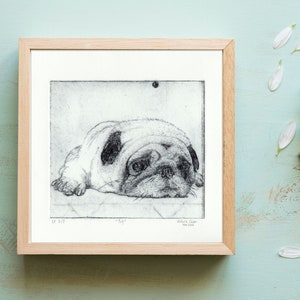 Pug (original drypoint print)