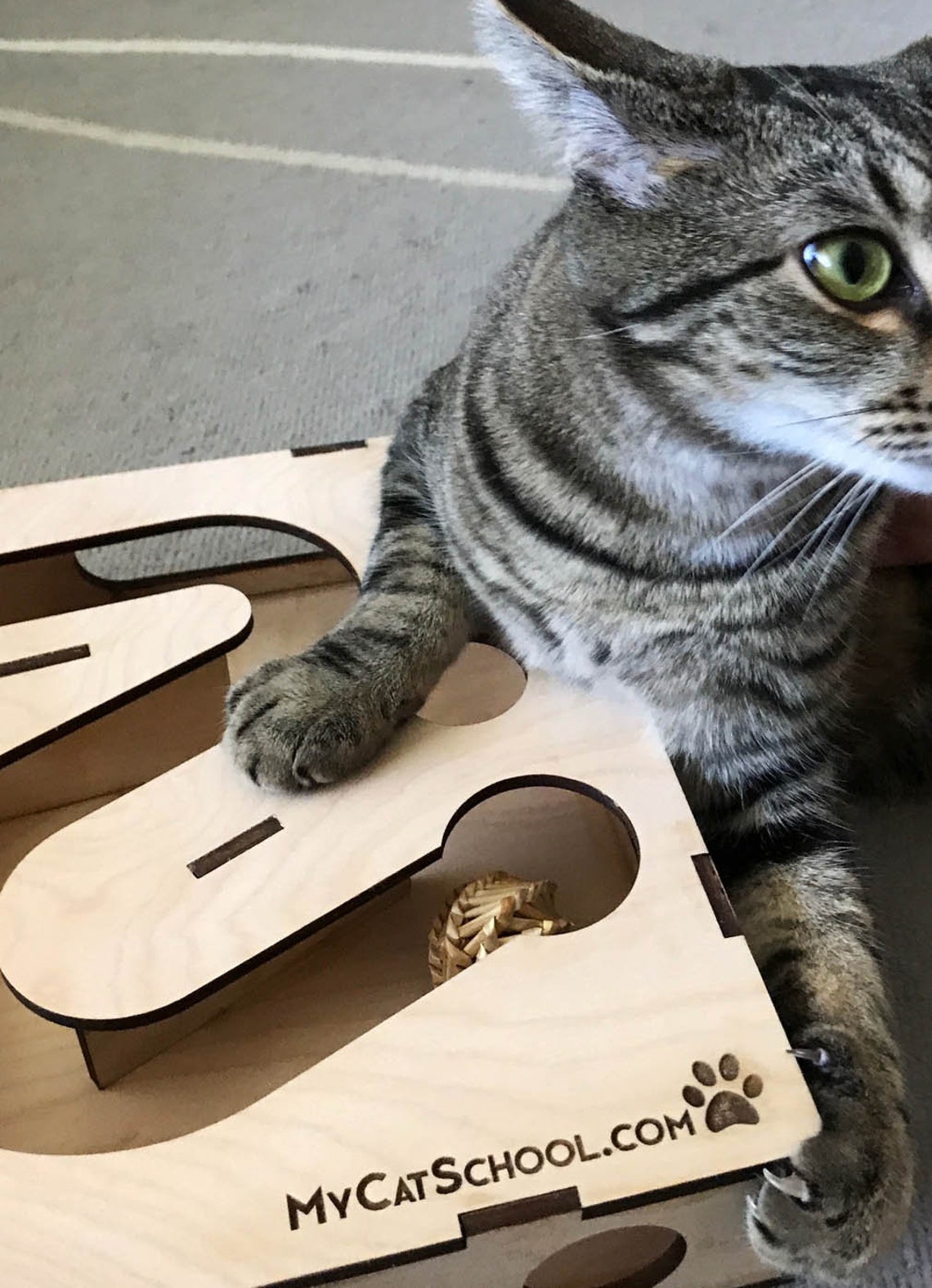 Cat Puzzle Enrichment Toy Project Kit Unassembled Etsy