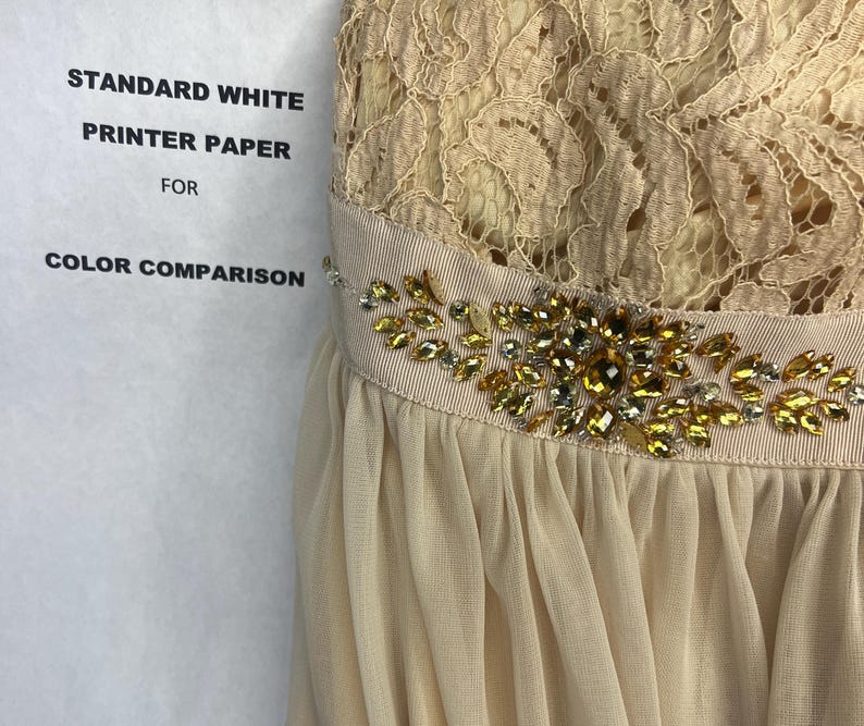 Op de afbeelding: Een beige kanten jurk met een kralenversiering rond de taille. De jurk is gemaakt van een transparante stof en heeft een zwierige silhouet.
