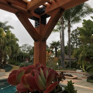 May include: A wooden pergola with a brown finish, supported by sturdy posts and black metal brackets. A large succulent plant with red and green leaves sits in a decorative pot in the foreground. Palm trees and a swimming pool are visible in the background.