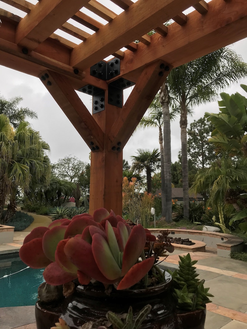 May include: A wooden pergola with a brown finish, supported by sturdy posts and black metal brackets. A large succulent plant with red and green leaves sits in a decorative pot in the foreground. Palm trees and a swimming pool are visible in the background.
