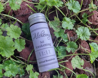 May include: A small glass bottle with a silver cap, labeled "Alchemy Sol Awakening 11:11 Spiritual Boundaries." The bottle rests among green plants and reddish-brown lava rocks, creating a natural, earthy aesthetic.