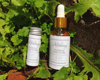 May include: Two glass bottles of tincture with gold-colored tops and white labels that read "Alchemy Manifesting Tincture 2:22 Spiritual Bound-ries." The bottles are surrounded by green foliage and sit on a brick surface.