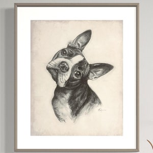 Boston Terrier Art Print, Minimalist Dog Drawing, Giclee Fine Art