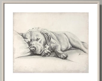 Sleeping Labrador Giclée Art Print, Vintage Yellow Lab Drawing