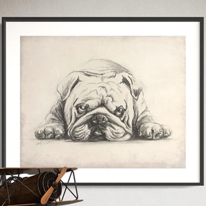 English Bulldog Art Print, Vintage English Bulldog Art, Sleeping Bulldog Drawing, Minimalist Art, Wall Decor for Living Room or Nursery