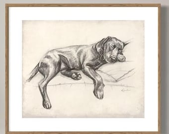 Sleeping Labrador Retriever Art Print, Vintage Dog Giclee