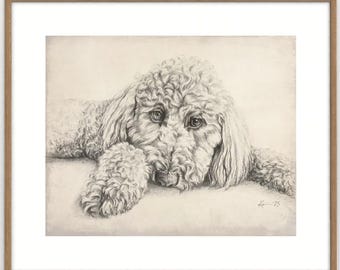 May include: A pencil drawing of a Goldendoodle dog lying down, with its head resting on its paws. The dog has curly fur and a gentle expression. The artwork is framed in a light brown wooden frame.