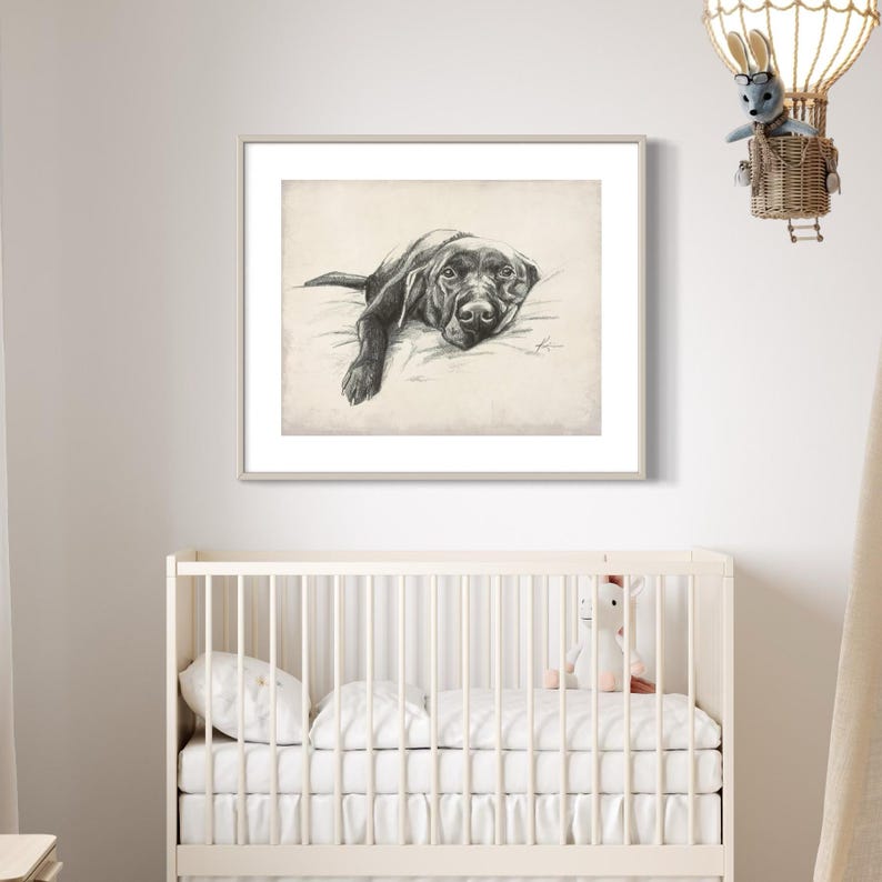 May include: Black and white drawing of a Labrador Retriever dog lying down on a bed. The dog is looking directly at the viewer.