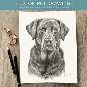 Custom Pet Portrait, Hand Drawn Dog Portrait, Cat Portrait, Pet Memorial, Personalized Pet Sketch, Unique Gift for Pet Lovers