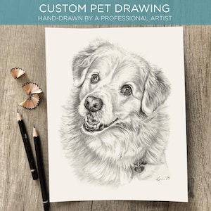 Custom Pet Portrait Drawing, Hand Drawn Dog Portrait, Cat Portrait, Pet Loss Memorial, Personalized Pet Sketch, Unique Gift for Pet Lovers