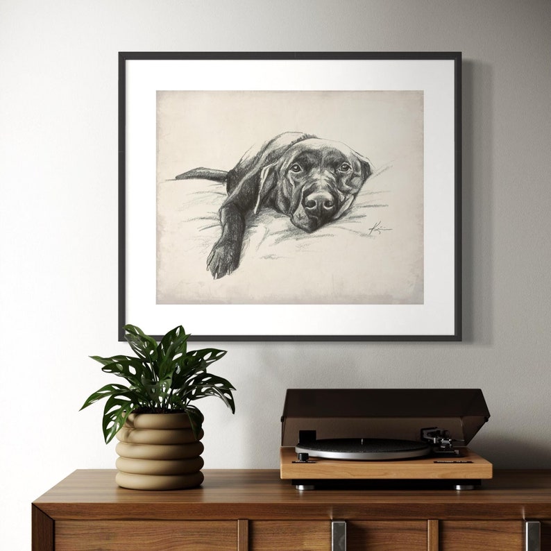A hand-drawn sketch of a sleeping Labrador Retriever.