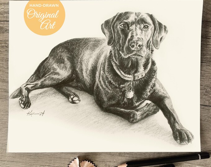Custom Pet Portrait Drawing, Hand-drawn Dog or Cat Pencil Sketch Gift ...