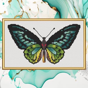 May include: A cross-stitch pattern of a green and black butterfly with red accents. The butterfly is framed in a gold frame.